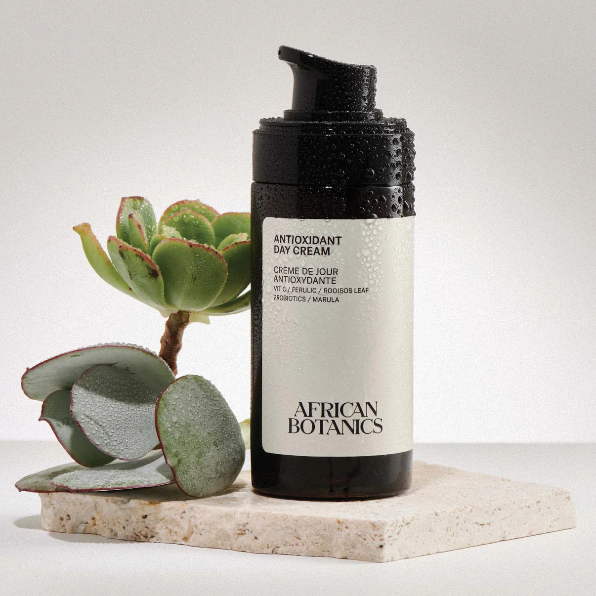 Antioxidant Day Cream - Image 2