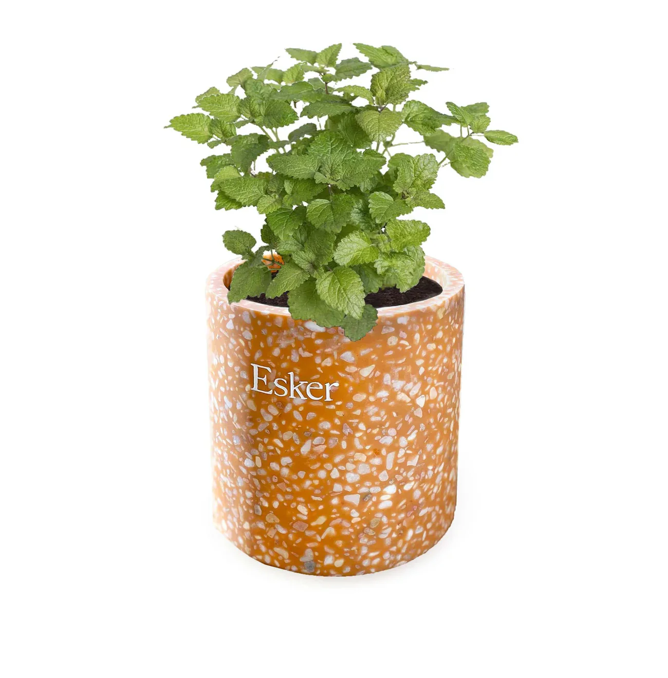 Terracotta Plantable Candle - Image 3