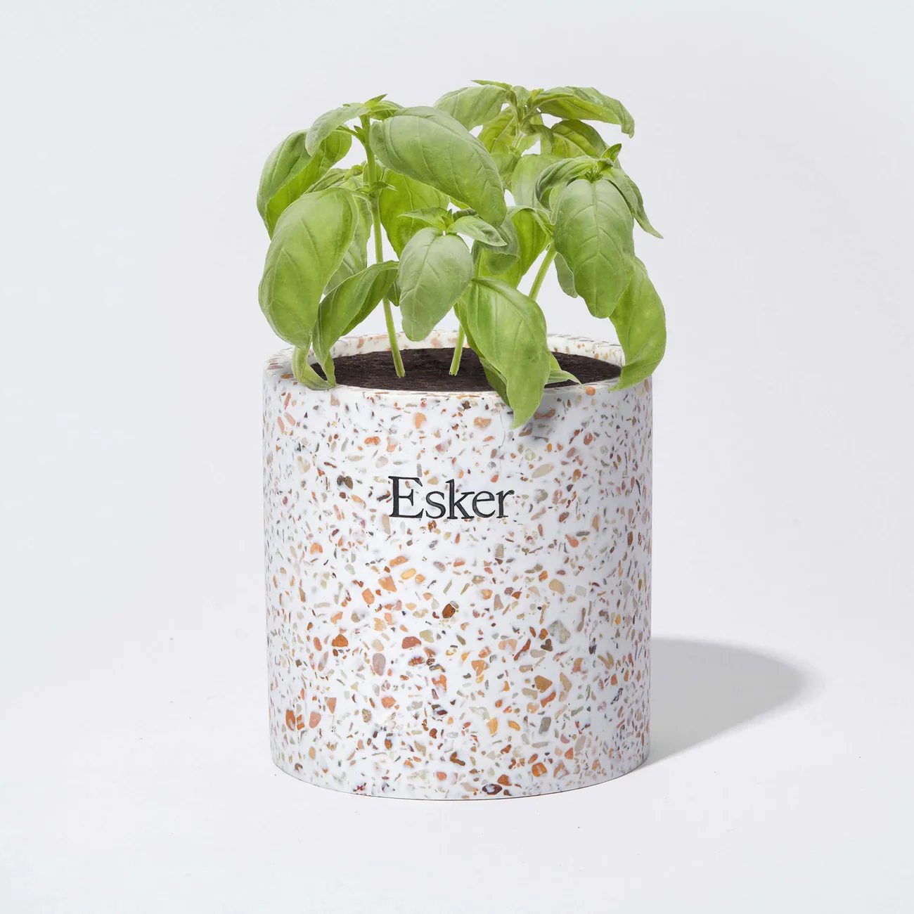 Terrazzo Plantable Candle - Image 3