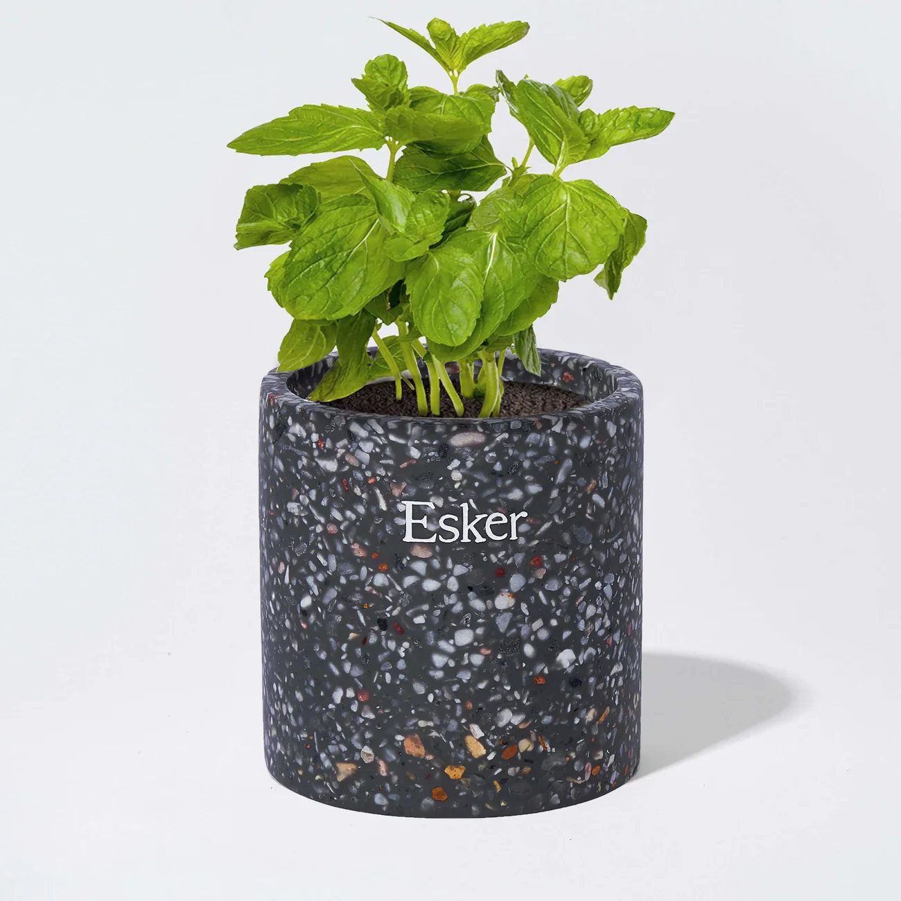 Travertine Plantable Candle - Image 4